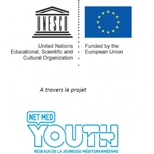 Logo Net-Med-Youth