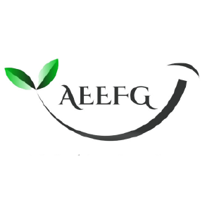 Logo ASSOCIATION DE L’EDUCATION ENVIRONNEMENTALE POUR LES FUTURES GENERATIONS