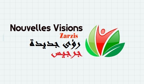Logo Association Nouvelle Vision de Zarsis 