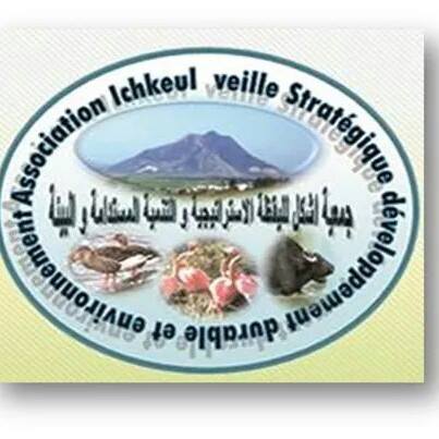 Logo Association Ichkeul pour la Veille Stratégique Développement Durable et Environnement