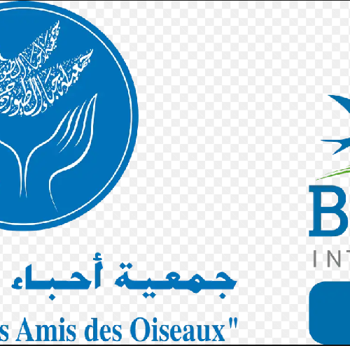 Logo Association “Les Amis des Oiseaux” (AAO/BirdLife en Tunisie)