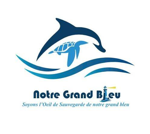 Logo Association Notre Grand Bleu 