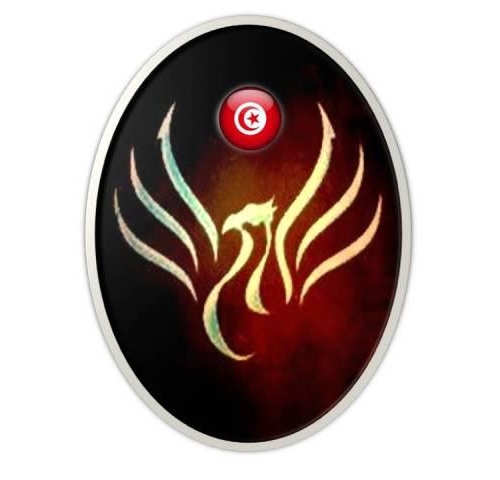 Logo Association Phenix Sidi Bourouis
