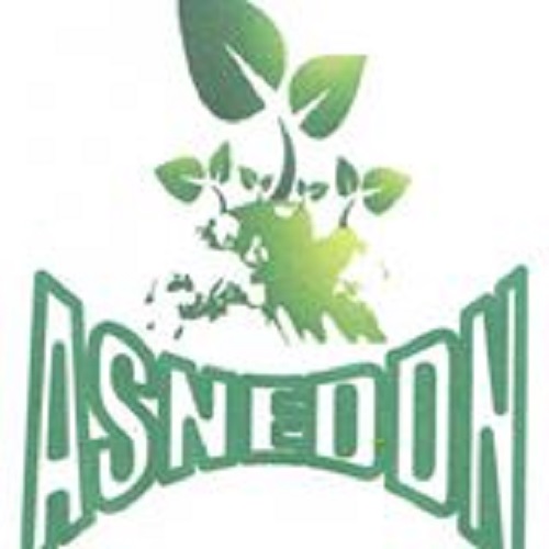 Logo Association de Sauvegarde de la Nature et de l'Environnement et du Développement Durable à Nefza