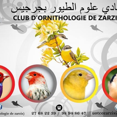 Logo Club d’Ornithologie de Zarzis