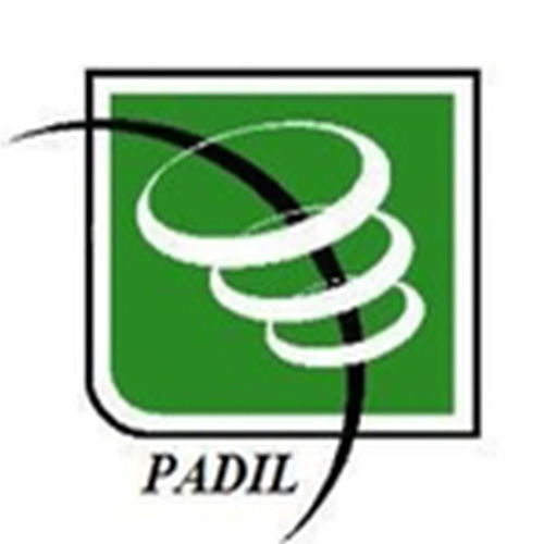 Logo Promotion et Appui au Développement d’Initiatives Locales