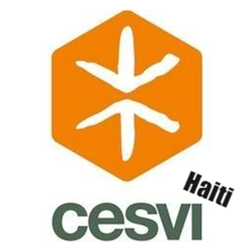 Logo CESVI