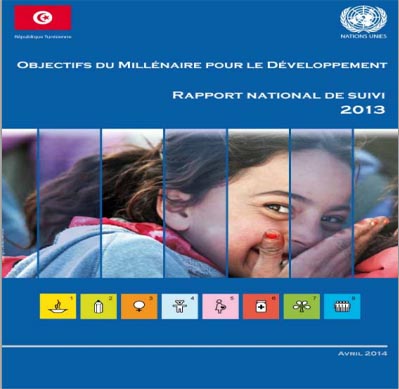 Aperçu de Rapport national de suivi 2013