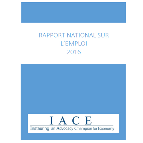 Aperçu de RAPPORT NATIONAL SUR L’EMPLOI 2016