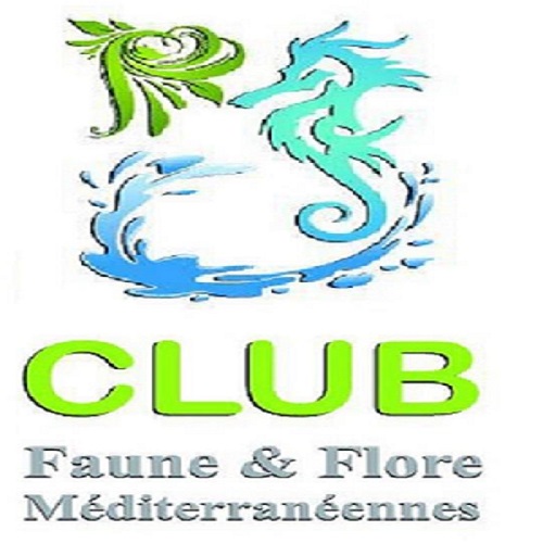 Club Faune et Flore Méditerranéenne