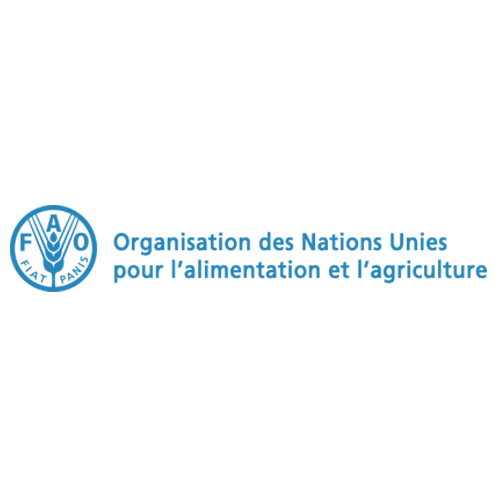 ( offre en anglais ) Food and agriculture organization of the United Nations is looking for information technology assistant