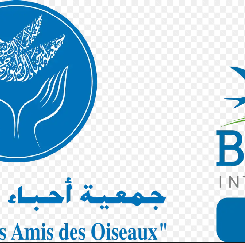 Association “Les Amis des Oiseaux” (AAO/BirdLife en Tunisie)