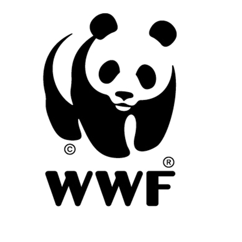 Project Officer Junior on CC-WWF