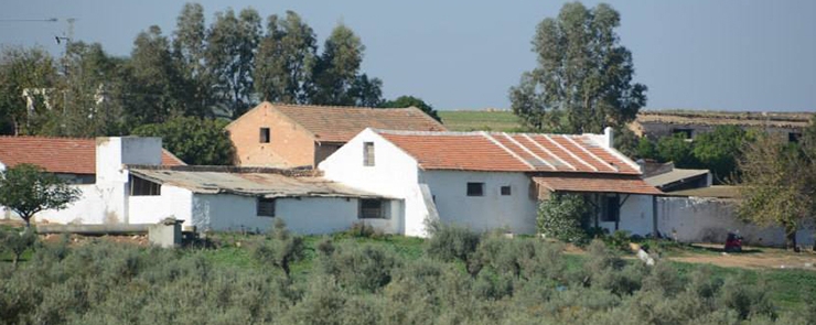 Journée à la ferme Heredium : notre patrimoine(olivier, olive, huile d’olive)