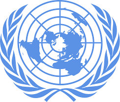 UN-Appel à candidatures-Panel consultatif des jeunes de l’équipe pays des Nations unies en Tunisie