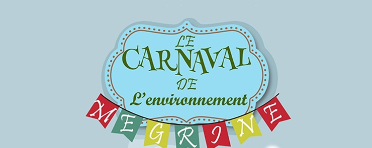 Carnaval de l’Environnement