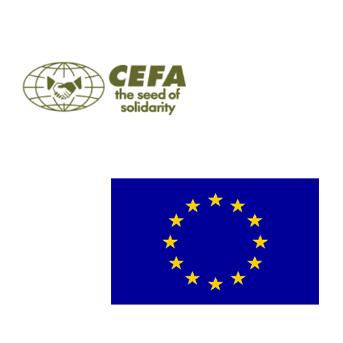 CEFA recrute un(e) coordinateur(trice) de projet