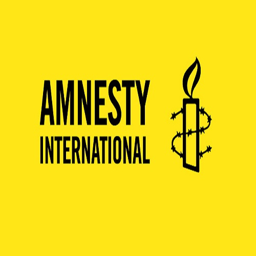 Digital Marketing consultant -Amnesty International