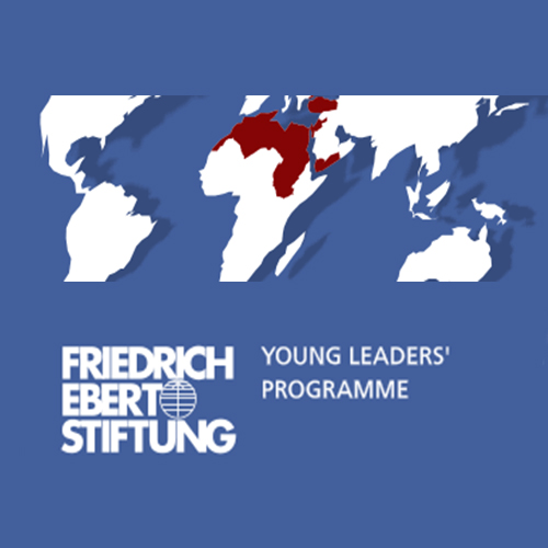 (Offre en anglais) The Friedrich Ebert Foundation lance un appel à candidature pour la 3ème promotion du programme Regional Thematic