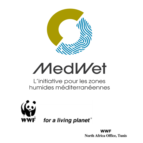 [Offre en anglais] WWF recrute un assistant de projet  “MedWet”