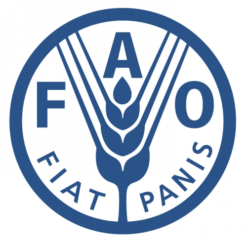 (offre en anglais) Food and Agriculture organization of the United Nations recrute un(e) consultant(e)