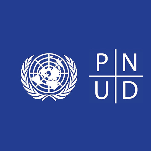PNUD recrute un assistant(e) régional du projet Junior