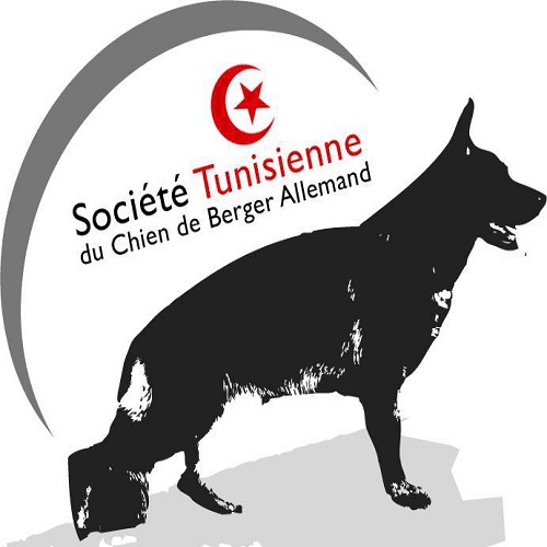 Association Société Tunisienne du Chien de Berger Allemand