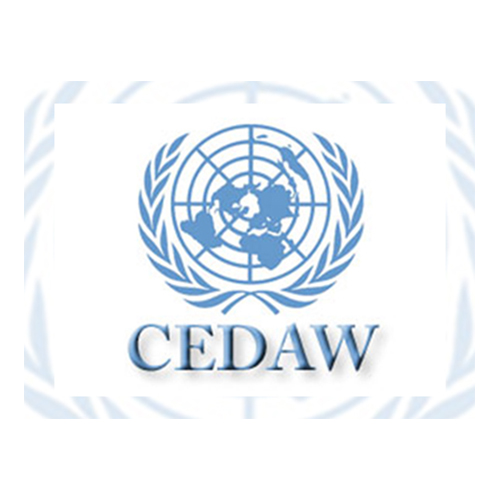 (Offre en Anglais) CEDAW recrute un economic affairs officer
