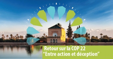 La COP 22: entre action et déception