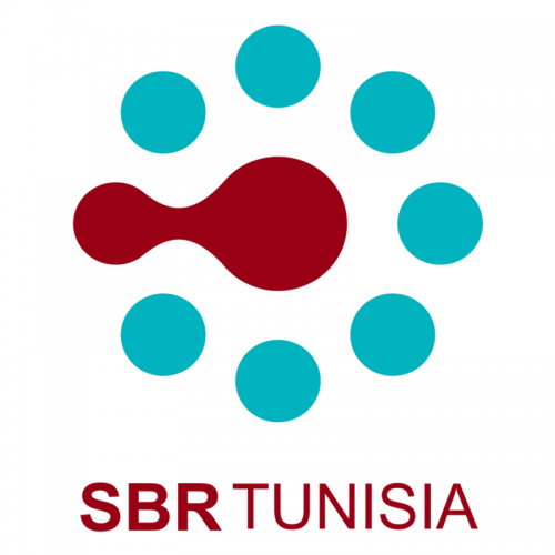 Smart Business Reporting Tunisia