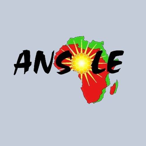 (Offre en Anglais) The Young Scientists and Entrepreneurs at the African Network for Solar Energy (ANSOLE) lancent un appel à projet