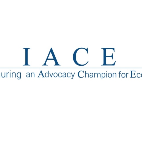 L’IACE s’engage pour la Promotion des Initiatives Privées