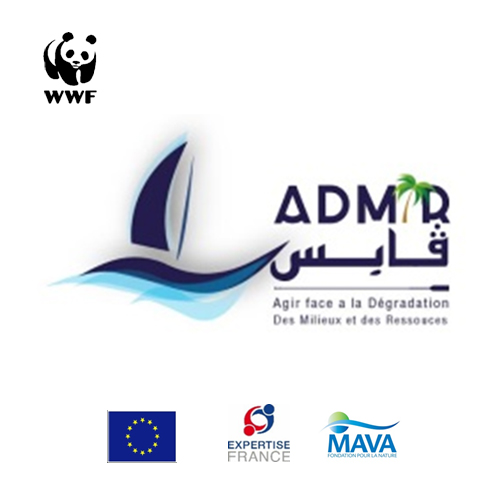 WWF lance un appel à consultation dans le cadre de son projet Admir Gabes