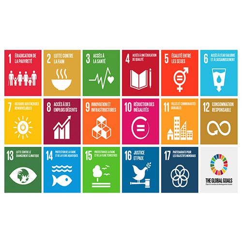 Les Nations Unies lancent un appel à participation pour une journée de sensibilisation aux Objectifs de Développement Durables à travers des “SDG Camps” (camps ODD)