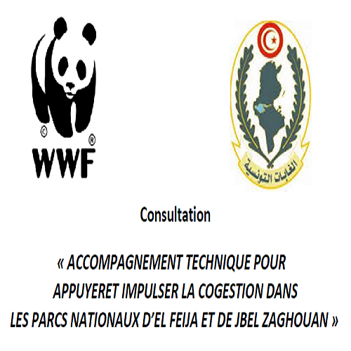 WWF MEDITERRANEAN NORTH AFRICA lance un appel à consultation