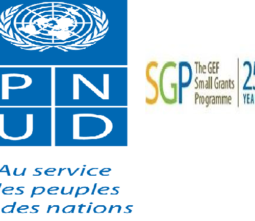 Le PNUD lance un appel à projets dans le cadre du Programme de Micro-financements du Fonds pour l’Environnement Mondial – PMF FEM