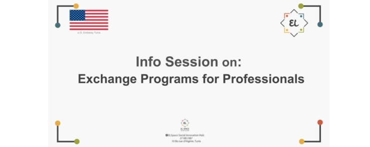 Exchange Programs for Professionals