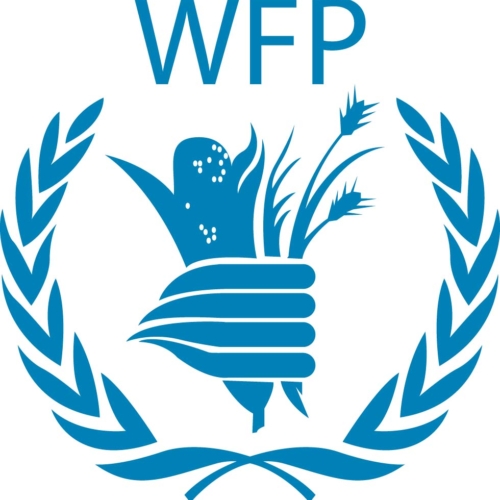 Resilience & Emergency preparedness Officer – WFP