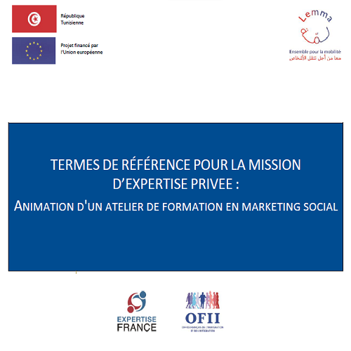 Expertise France et l’Office Français de l’Immigration et de l’Intégration (OFII) lancent un appel à candidatures pour une mission d’expertise privée : Animation d’un atelier de formation en marketing social