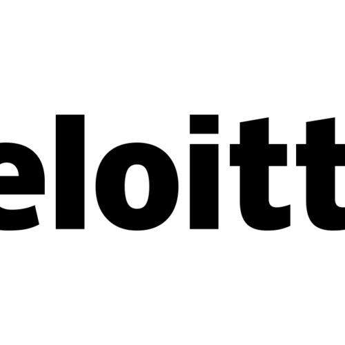 Logistics and security officer- Deloitte/USAID