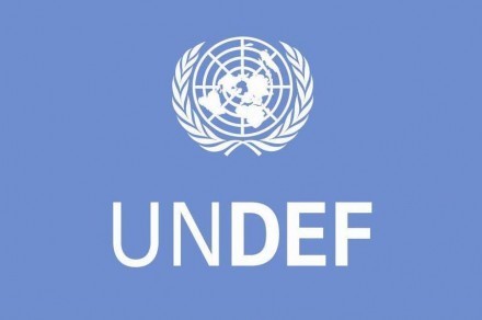 Call to civil society organizations to apply for funding -UNDEF