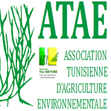 L’Association ATAE recrute 8 stagiaires