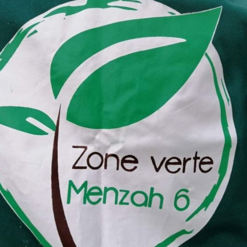 Association Zone Verte Menzah