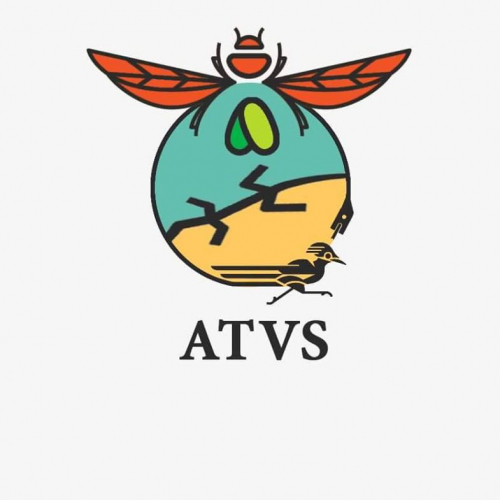 Assistant de projet-ATVS