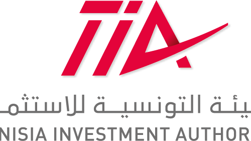 Consultation relative au projet d’appui aux travaux du conseil stratégique de l’Instance Tunisienne de l’Investissement -TIA 