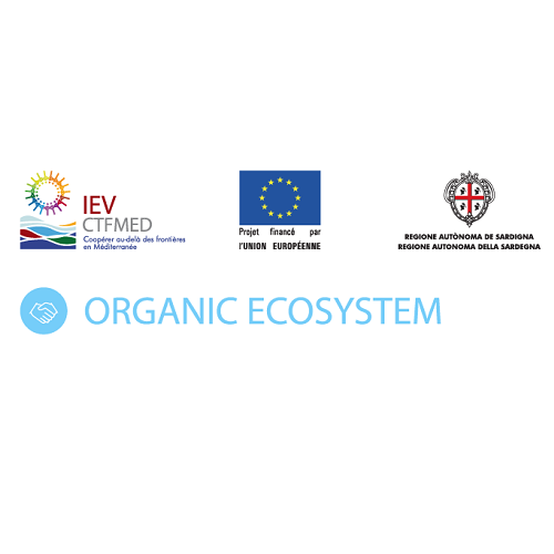 Financial and Administrative Manager – Organic Ecosystem