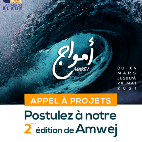 Appel à projets AMWEJ –Association La Saison Bleu