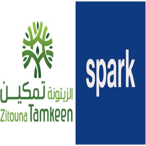 Un(e) consultant(e) pour l’étude des chaînes de valeurs agricoles- SPARK & Zitouna Tamkeen