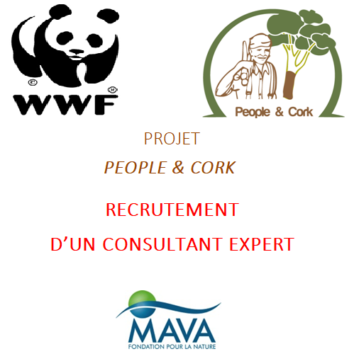 Appel à consultant – WWF TUNISIE