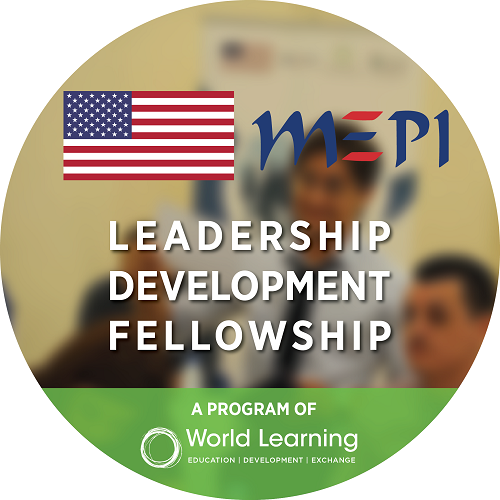 Appel à candidatures LDF Fellowship – MEPI